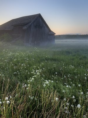 Kun kierii alasti kasteisella pellolla, potkii onni rakkaudessa. 