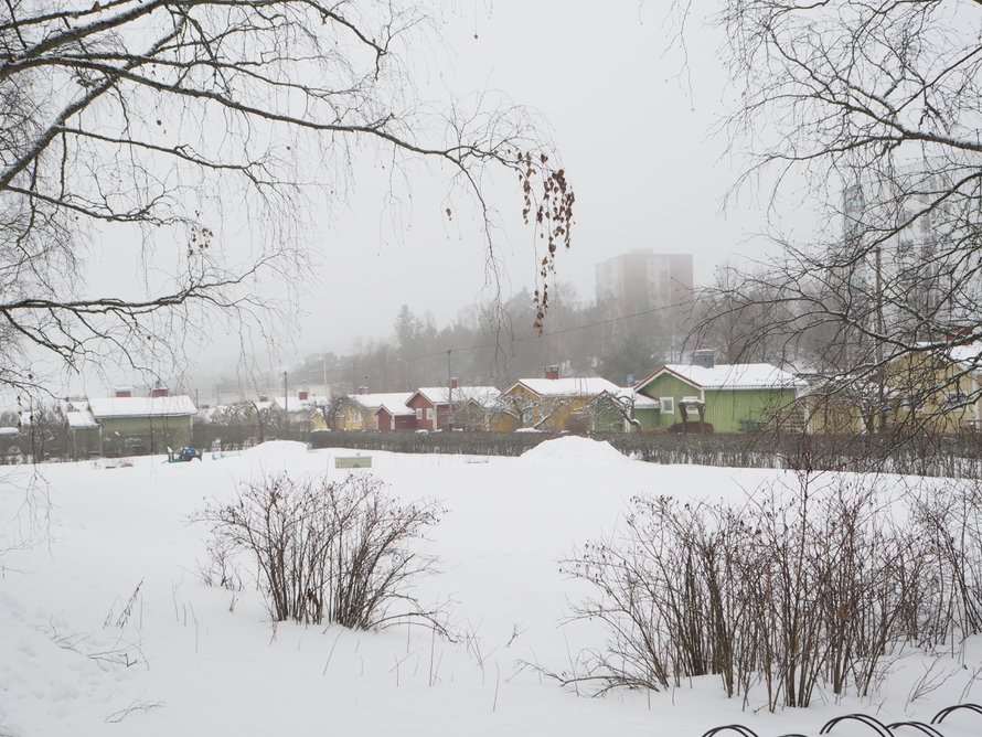 Etualalla on pysäköintialuetta ja viljelypalstoja, joita voi vuokrata oman tontin jatkeeksi.