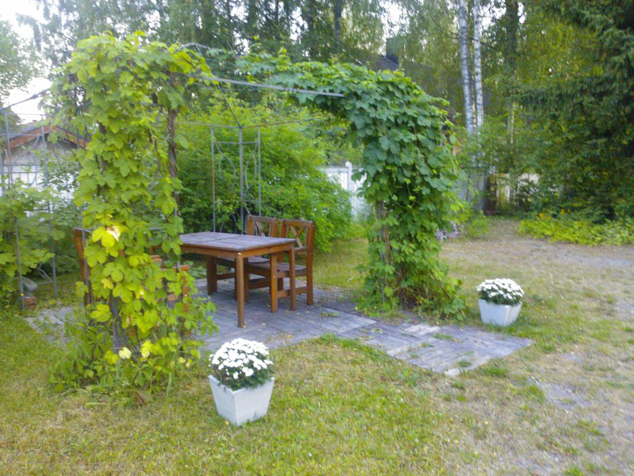 Illaksi ilmakin jäähtyi.