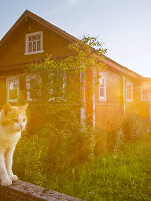 Kuittisen kyl&auml;ss&auml; Aunuksen Karjalassa on l&auml;mpin&auml; kes&auml;iltana jotain taianomaista, kuin lapsuudesta tuttua tunnelmaa. Ilmassa leijuu vieno saunanl&auml;mmityksen ja sireenien tuoksu. Vapaana kipitt&auml;v&auml;t koirakaverukset haukkua louskuttavat tienposkessa.