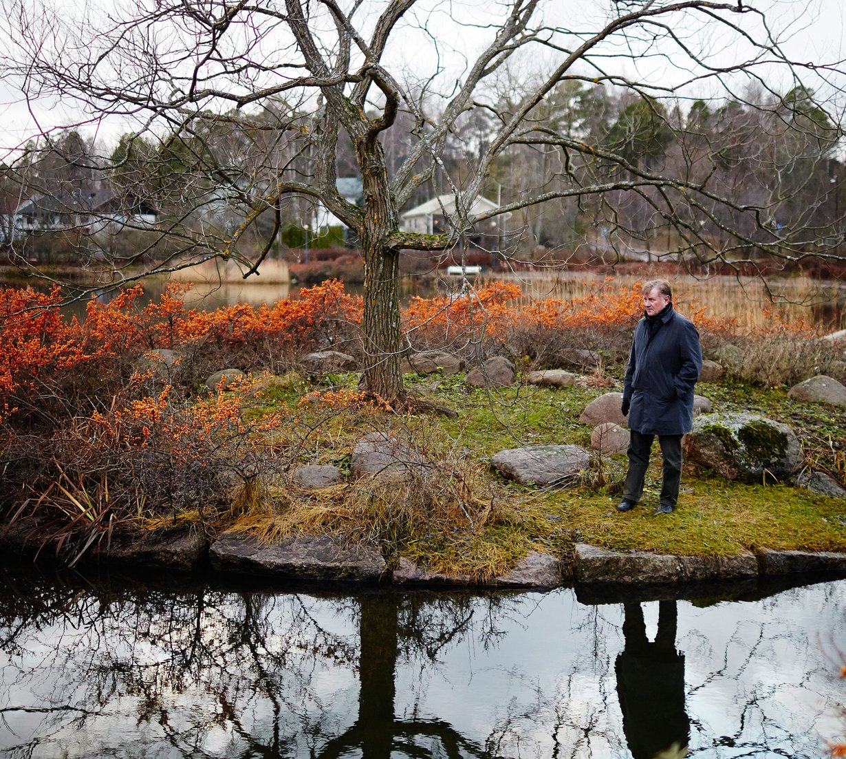 – Hyvä puisto on kaunis kaikkina vuodenaikoina, tietää Heikki Laaksonen. Taustalla loimuaa tyrnimarja.