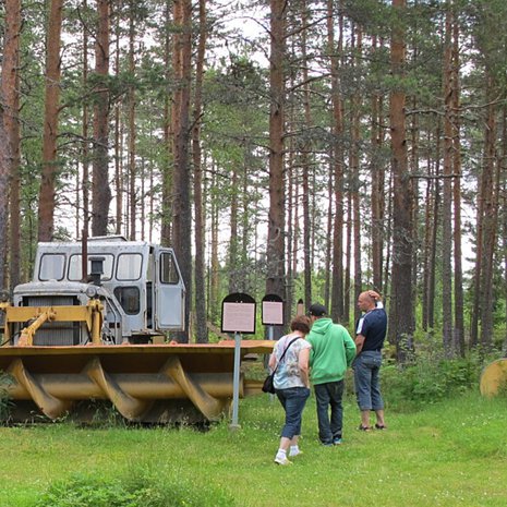Miia Hinnerichsen, Pirkanmaan maakuntamuseo 2011 