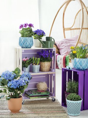 Keraamiset turkoosit Freja-ruukut 40 e,  Vannkanne-kastelukannu 13 e, Mimmi-metalliruukut 6 e ja kasvit, Plantagen. Värikkäät Sommar- muovipunosruukut 7 e, Brytärt-punasaviruukut 3–4 e, turkoosit Jackfrukt- puu tarhasakset 6 e,  Soderup-matto 35 e ja riippukeinun Ypperlig-tyyny 5 e, Ikea. Riippukeinu Parolan  Rotting.