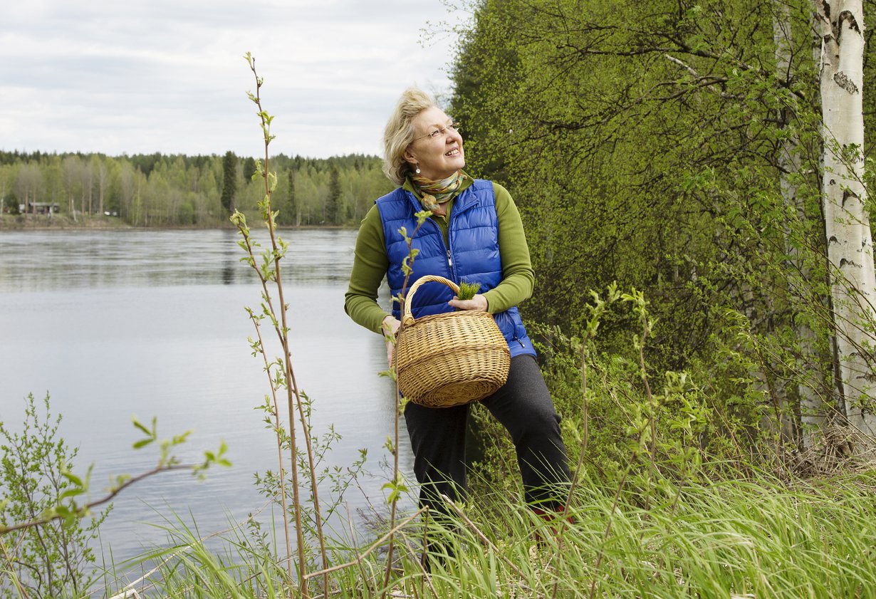 Irja Mäkitalo on kerännyt villiyrttejä lapsesta asti.