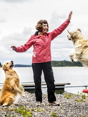 Hoplaa! Tiina Paavola ja koirat Sindy ja Sani treenaavat päivittäin koiratanssia.