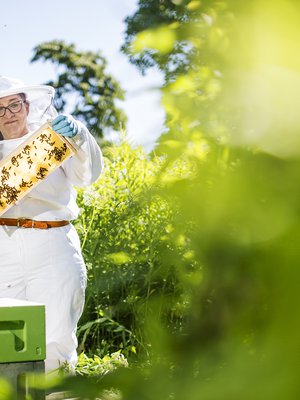 Eläkkeelle jäätyään Maaret Virtanen lisäsi hunajantuotantoa.