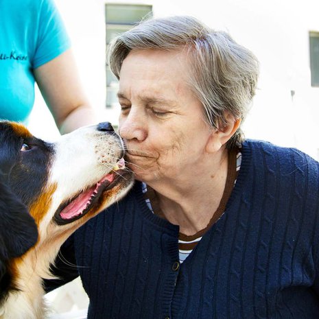 Kerttu ottaa mielellään vastaan Viljon iloisen nuolaisun.