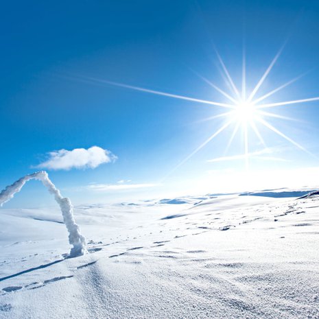 Paina kuvan päällä nuolesta ja näet lisää kuvia.