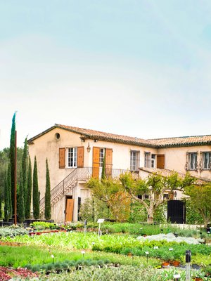 Hartleyn perheen koti Opiossa on isä-Williamin lapsuudenkoti. Hänen isänsä perusti puutarhaliikkeen eläkeikäisenä.