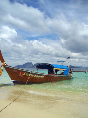 Toimittaja Eveliina Linkoheimo kuvasi Andamaanienmeressä kelluneen pitkähäntäveneen.