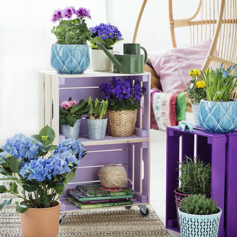 Keraamiset turkoosit Freja-ruukut 40 e,  Vannkanne-kastelukannu 13 e, Mimmi-metalliruukut 6 e ja kasvit, Plantagen. Värikkäät Sommar- muovipunosruukut 7 e, Brytärt-punasaviruukut 3–4 e, turkoosit Jackfrukt- puu tarhasakset 6 e,  Soderup-matto 35 e ja riippukeinun Ypperlig-tyyny 5 e, Ikea. Riippukeinu Parolan  Rotting.