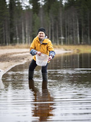 Anun Kitkajärvestä keräämiä pieniä luonnonkiviä käytetään Pentikin uusissa Kaamoskivi- kynttilänjaloissa.