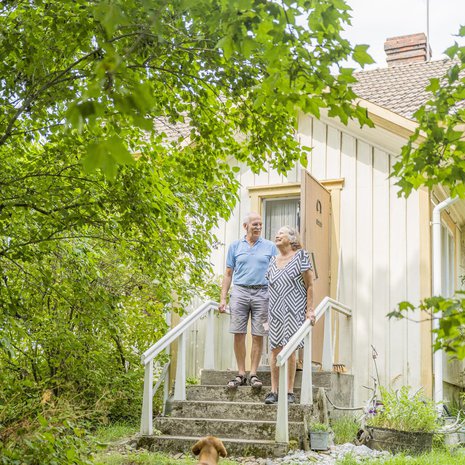 Moona-koira on tyytyväinen, kun molemmat sen ihmiset ovat kotona ja terveitä.