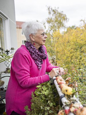 Omenapuun latvus reunustaa Pia Niemen uuden kodin parveketta.