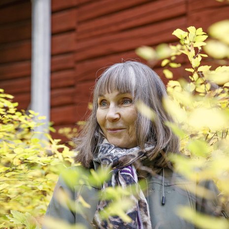 Annelin ja Pentti Linkolan perustama Luonnonperintösäätiö on ostanut 26 vuoden aikana suojeltavaksi 3 424 hehtaaria.  – Iloitsen, että olen saanut työlläni aikaan jotain tärkeää. En ole ollut vain ajopuu.