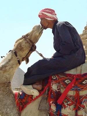 Yleisön suosikkikuvaksi äänestettiin Laura Kaissalon otos.