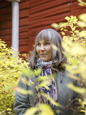 Annelin ja Pentti Linkolan perustama Luonnonperintösäätiö on ostanut 26 vuoden aikana suojeltavaksi 3 424 hehtaaria.  – Iloitsen, että olen saanut työlläni aikaan jotain tärkeää. En ole ollut vain ajopuu.