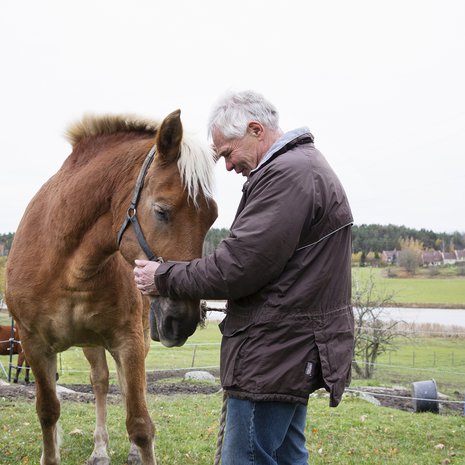 Heikin ja Nupun yhteinen taival on kestänyt 10 vuotta. Päivittäinen Nupun liikuttaminen on seikkailu, yhdessä mennään Nupun päivän kuntoa ja mielialaa kuunnellen. Kuvauspäivänä Nuppu oli niin vauhdikas, että lähti seikkailemaan heti kun Heikki sai jalkansa satulan yli.