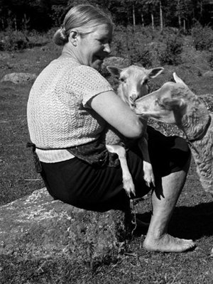Nainen ja kaksi lammasta maatilalla, 1940-luku. Kuva: <span class="photographer">Väinö Kannisto / Helsingin kaupunginmuseo</span>