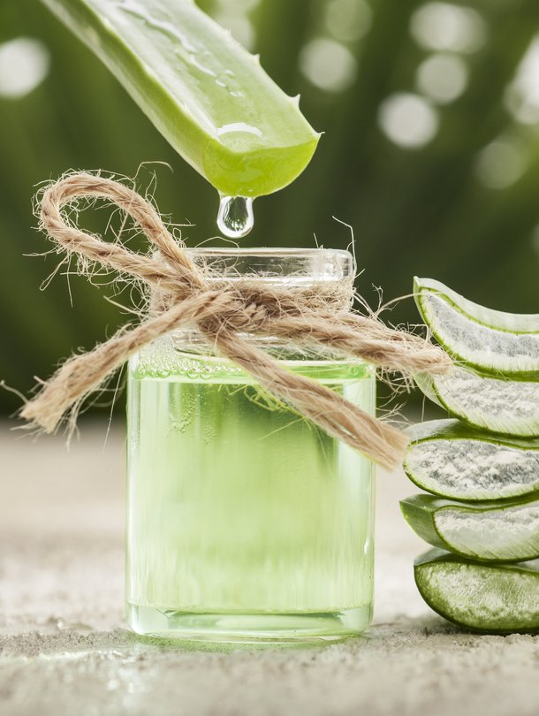 Aloe vera.