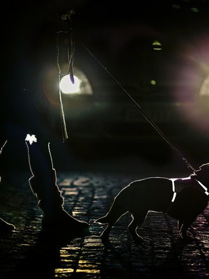 Kuva: <span class="photographer">Liikenneturva</span>