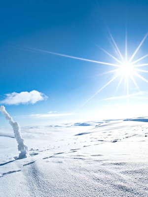 Paina kuvan päällä nuolesta ja näet lisää kuvia.