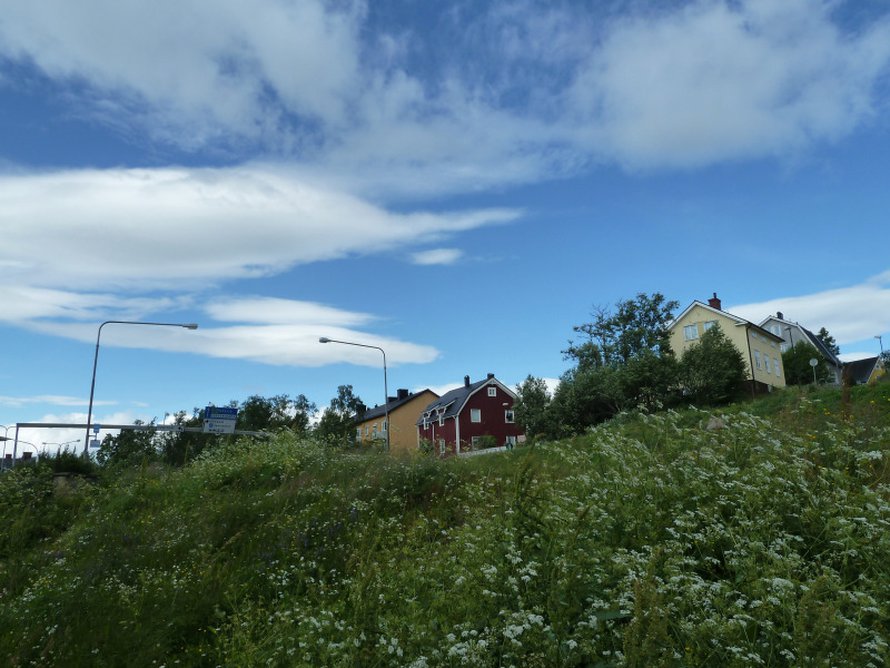 Kaupunki on rakennettu korkealle Haukivaaralle.