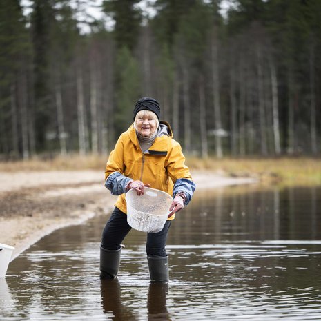 Anun Kitkajärvestä keräämiä pieniä luonnonkiviä käytetään Pentikin uusissa Kaamoskivi- kynttilänjaloissa.