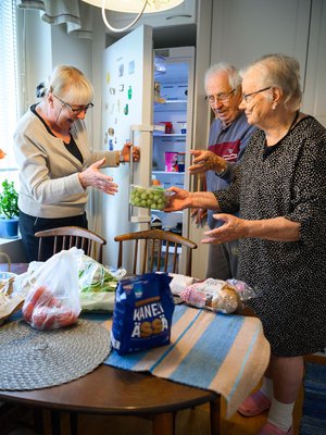 Ruokaan Aililla ja   Aarolla kuluu noin   500 euroa kuussa.   – Onneksi nykyään   on paljon hyviä   valmisruokia.