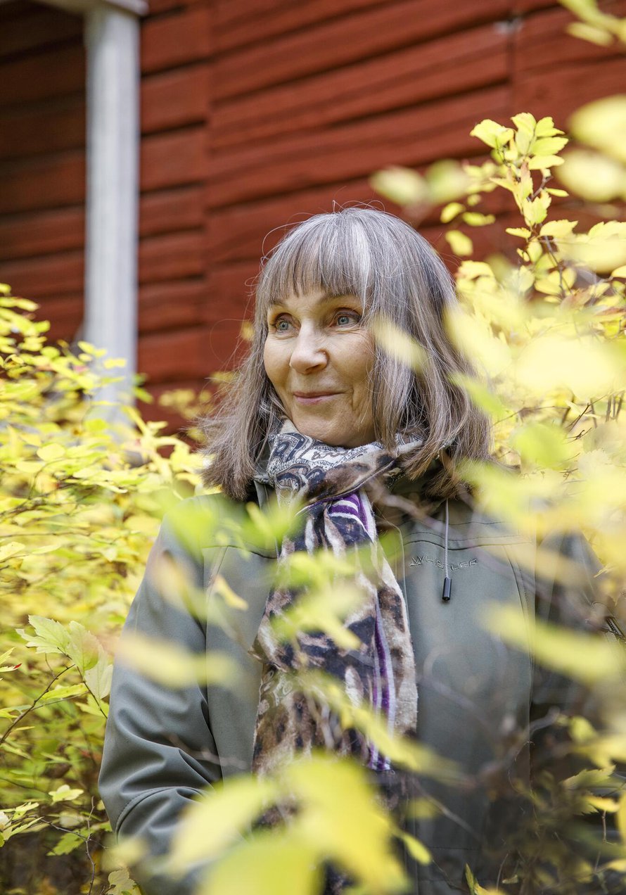 Annelin ja Pentti Linkolan perustama Luonnonperintösäätiö on ostanut 26 vuoden aikana suojeltavaksi 3 424 hehtaaria. – Iloitsen, että olen saanut työlläni aikaan jotain tärkeää. En ole ollut vain ajopuu.