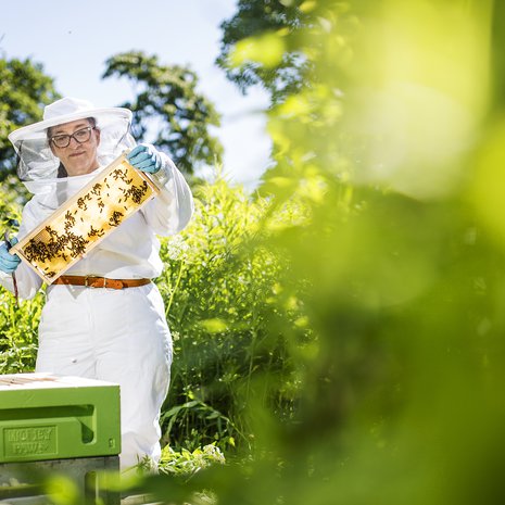 Eläkkeelle jäätyään Maaret Virtanen lisäsi hunajantuotantoa.