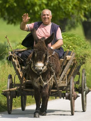 Maaseudulla kulkee niin paljon kärryjä, että liikennemerkit varoittavat niistä