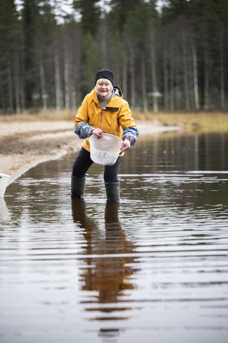 Anun Kitkajärvestä keräämiä pieniä luonnonkiviä käytetään Pentikin uusissa Kaamoskivi- kynttilänjaloissa.