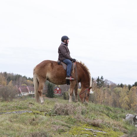 Kuvassa Heikki, joka kiipesi hevosen selkään ensimmäisen kerran yli nelikymppisenä.