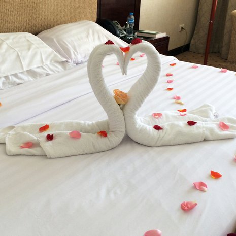 Tällaisen rakastuneen joutsenparin siivooja taiteili Egyptin Sahl Hasheeshissa. Kuva: <span class="photographer">Maria Niemi</span>