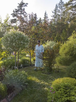 Tainan suosikkeja ovat kaunislehtiset pikkupuut ja pensaat, kuten valkokirjavalehtinen pallomaiseksi leikattu hakuropaju sekä hänen vieressään oleva puna lehtinen kupari heisiangervo.