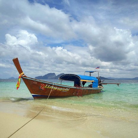 Toimittaja Eveliina Linkoheimo kuvasi Andamaanienmeressä kelluneen pitkähäntäveneen.
