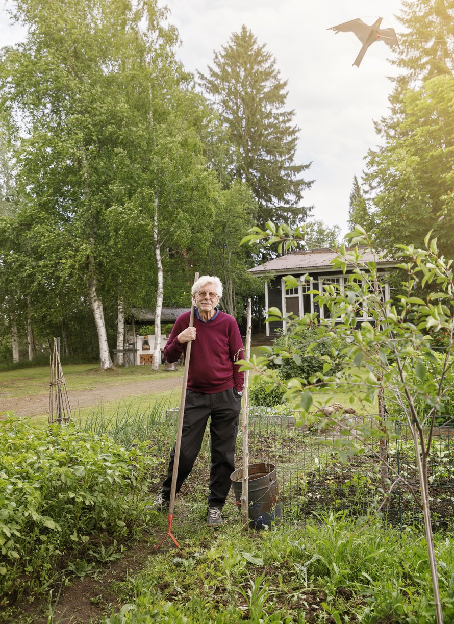Mökin mullasta saa lautaselle omat perunat ja tomaatit. – Kaivan ja haravoin erityisen sujuvasti. 