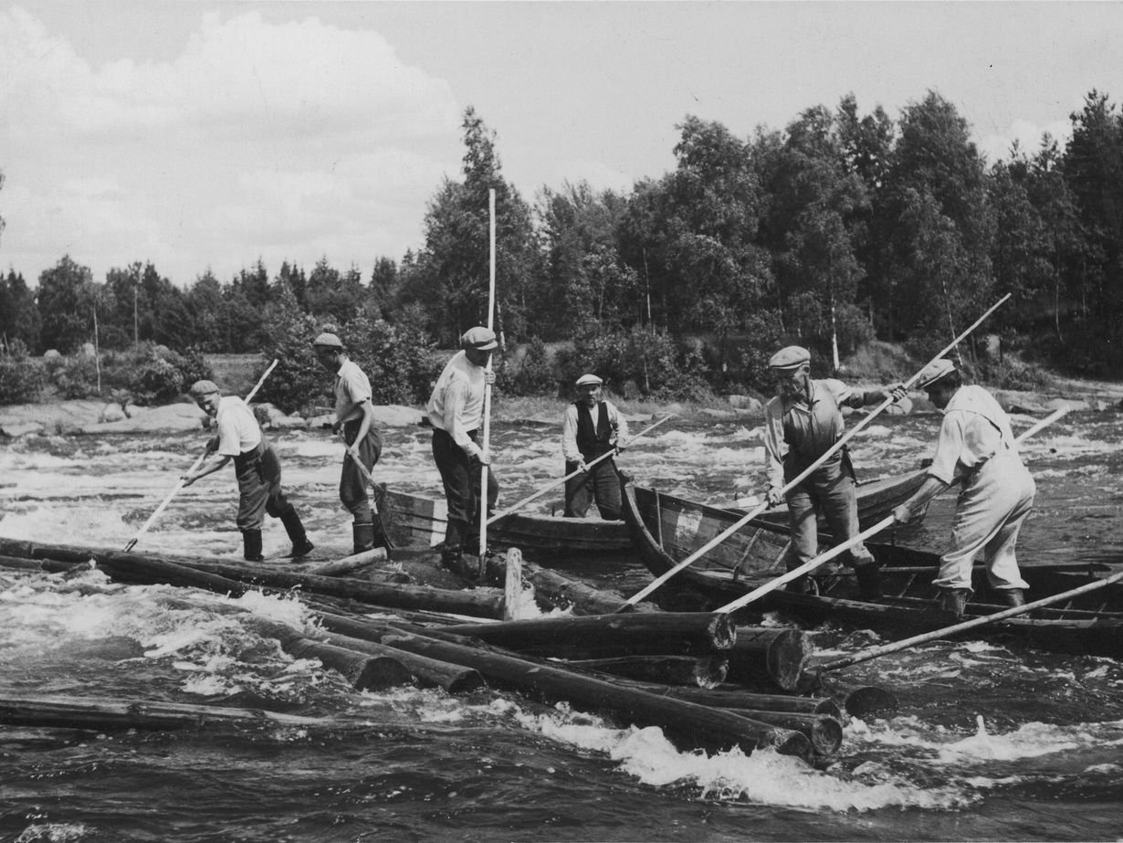 Kuva on elokuvasta Tukkijoella tapahtuu, 1950.