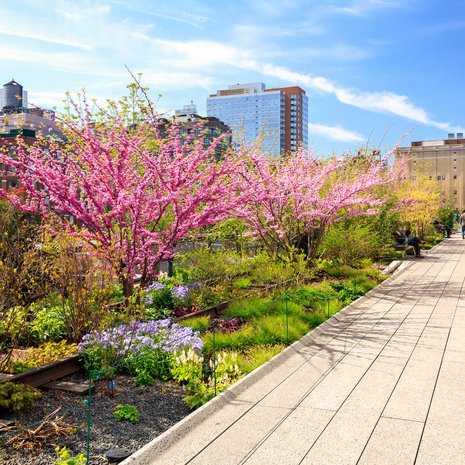 High Line -puisto on rakennettu entisen rautatielinjan kohdalle.