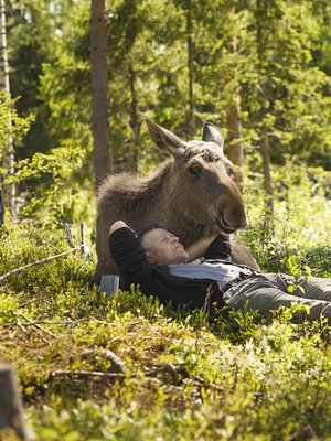 Markku Harju, 62, ja päiväunet Mervi-hirven kainalossa.
