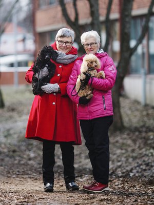 Tarjan (vas.) koirat Justus ja Iivari tietävät Puistolan parhaan kyläpaikan: Sirkan luo tietenkin.