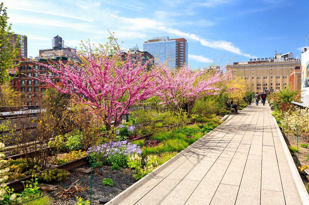 High Line -puisto on rakennettu entisen rautatielinjan kohdalle.