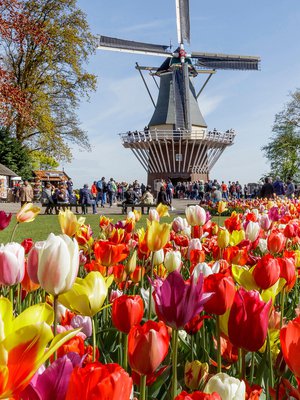 Keukenhof on puutarhoista kauneimpia.