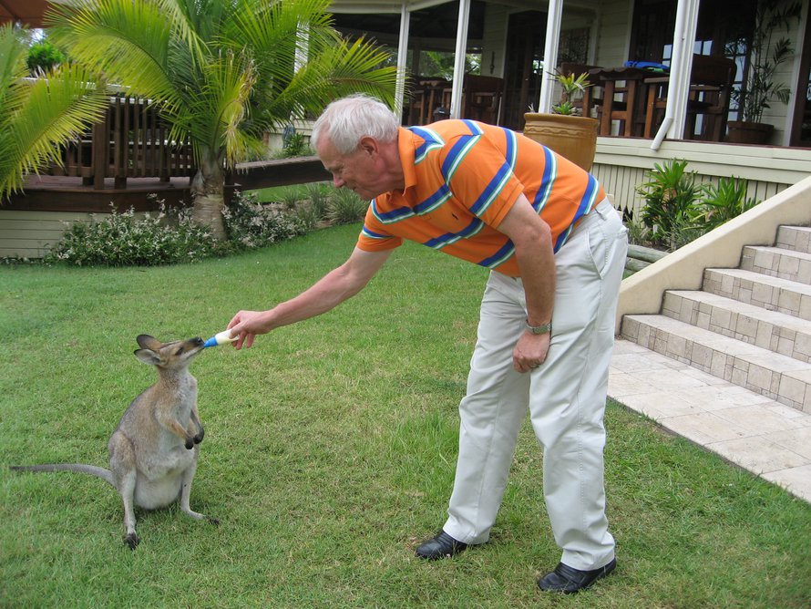 Olli pääsi syöttämään kengurua Australian-matkallaan.
