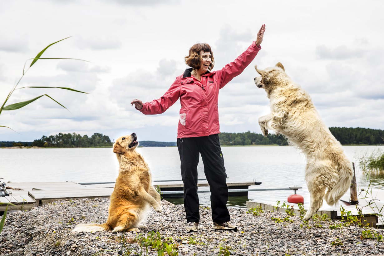 Hoplaa! Tiina Paavola ja koirat Sindy ja Sani treenaavat päivittäin koiratanssia.