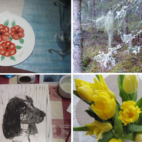 Mukavien asioiden kalenterissa voit jättää myös kuvan, joka on ilostuttanut. Nämä kuvat ovat etlehti.fin lukijoiden omia.