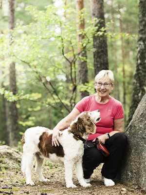 Lumikki Jokinen ulkoilee päivittäin walesinspringer spanieli Rollen kanssa.