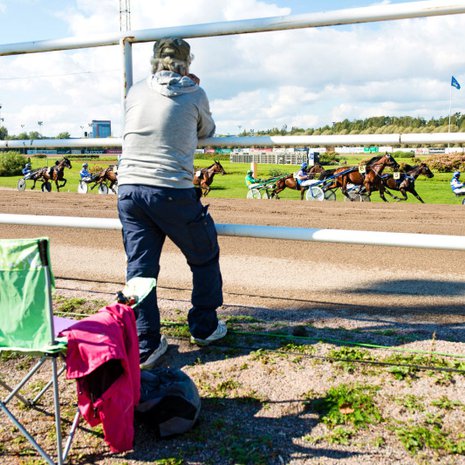 Moni tulee raveihin katsomaan hevosia pelk&auml;st&auml; ilosta.