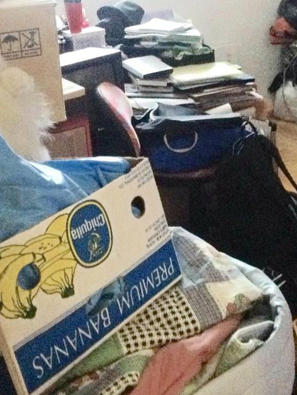 Ammattijärjestäjä Maria Laitinen on huomannut, että puolet hänen asiakkaistaan säilöö kodeissaan aikuisten lastensa tavaroita.